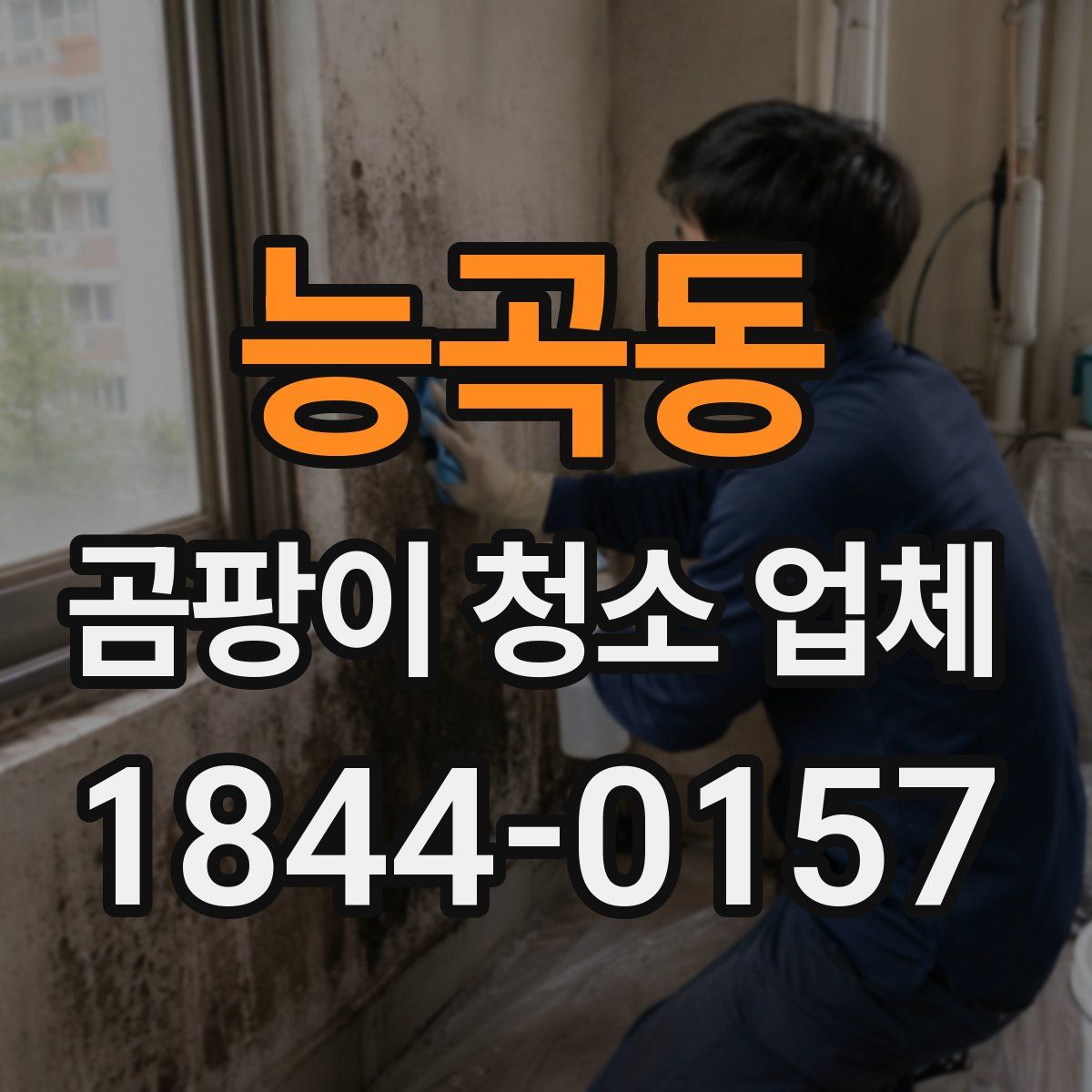 능곡동 곰팡이 청소 업체