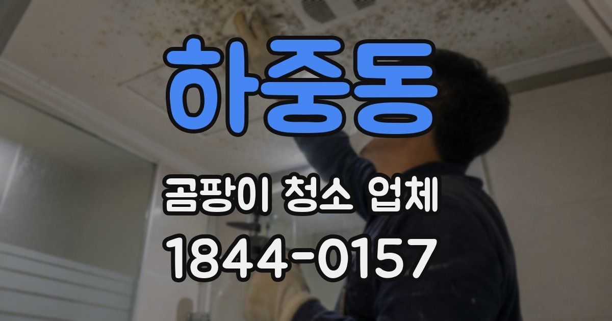 하중동 곰팡이 청소 업체