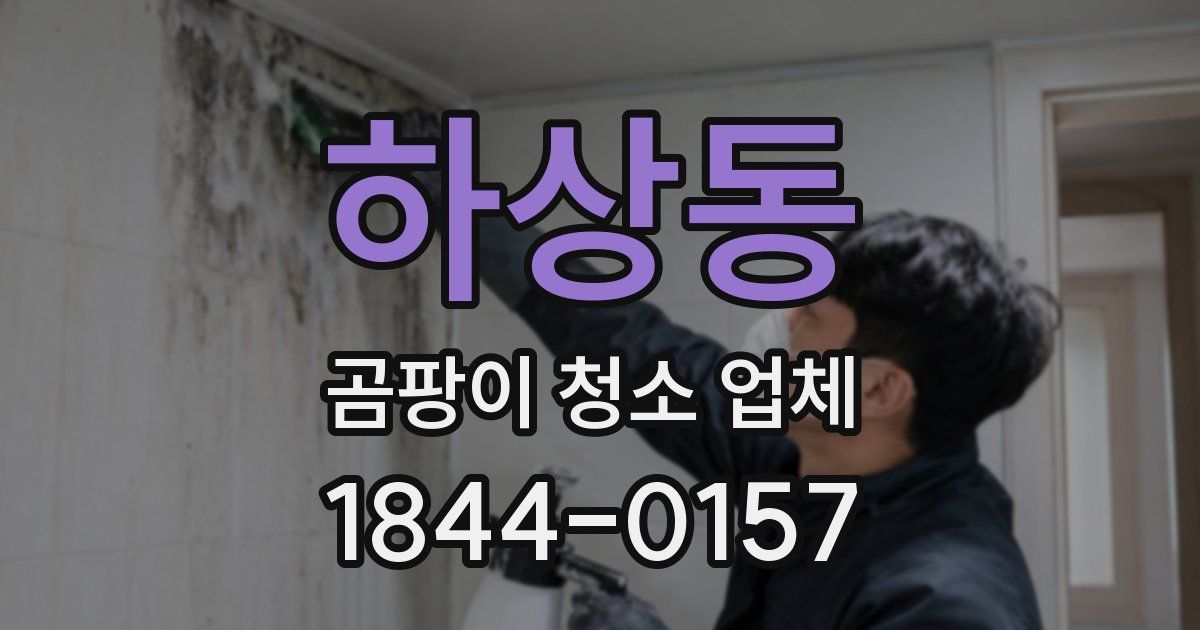 하상동 곰팡이 청소 업체