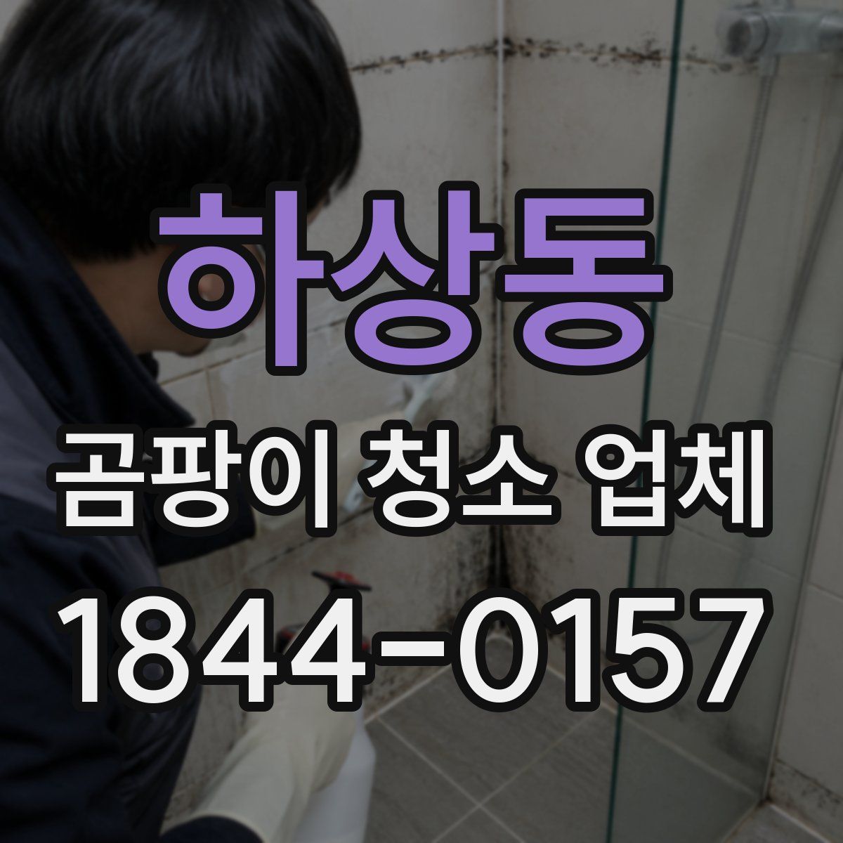 하상동 곰팡이 청소 업체
