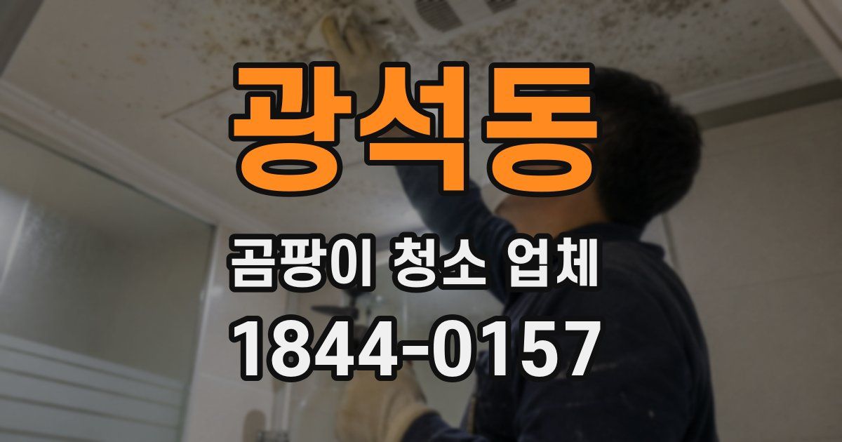 광석동 곰팡이 청소 업체