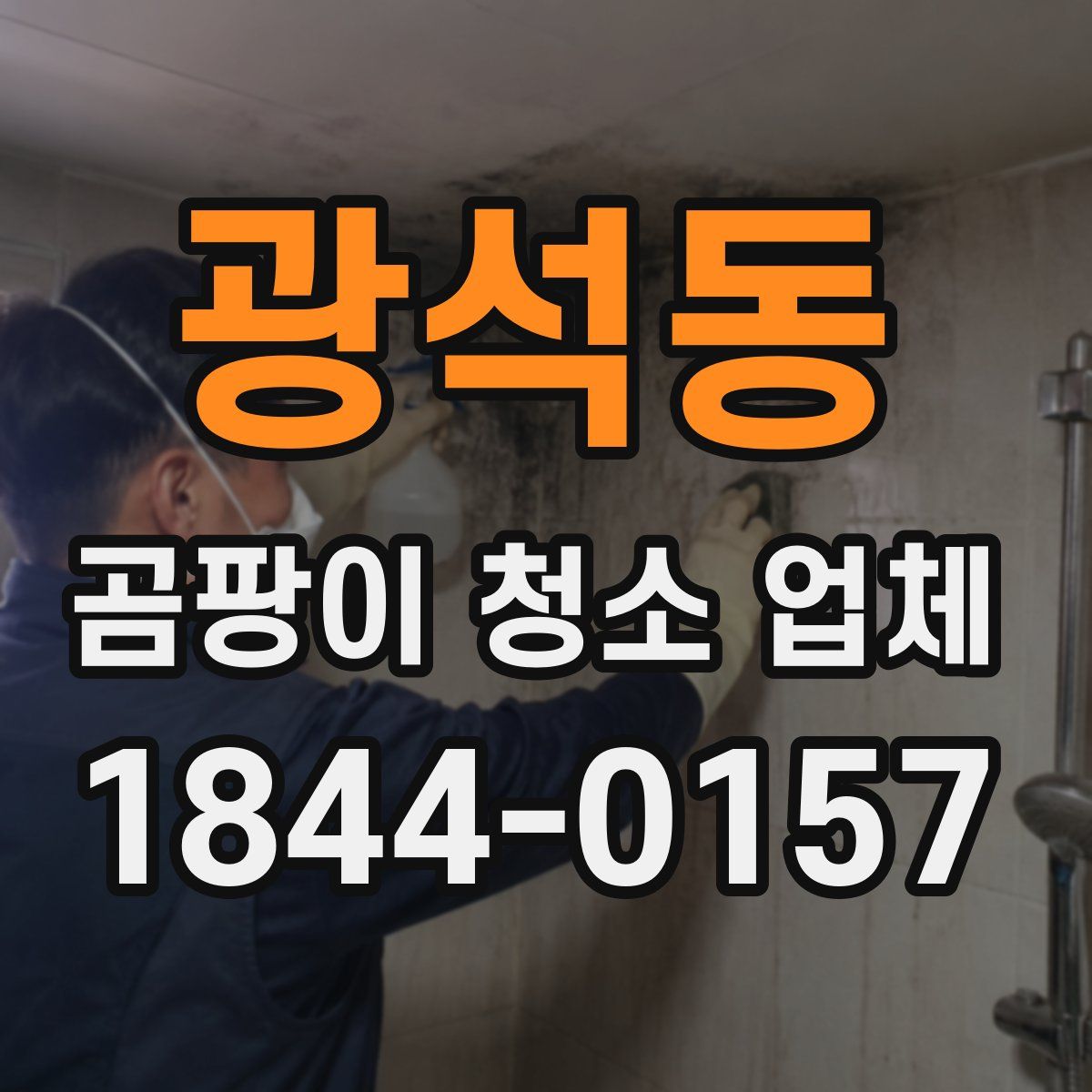 광석동 곰팡이 청소 업체