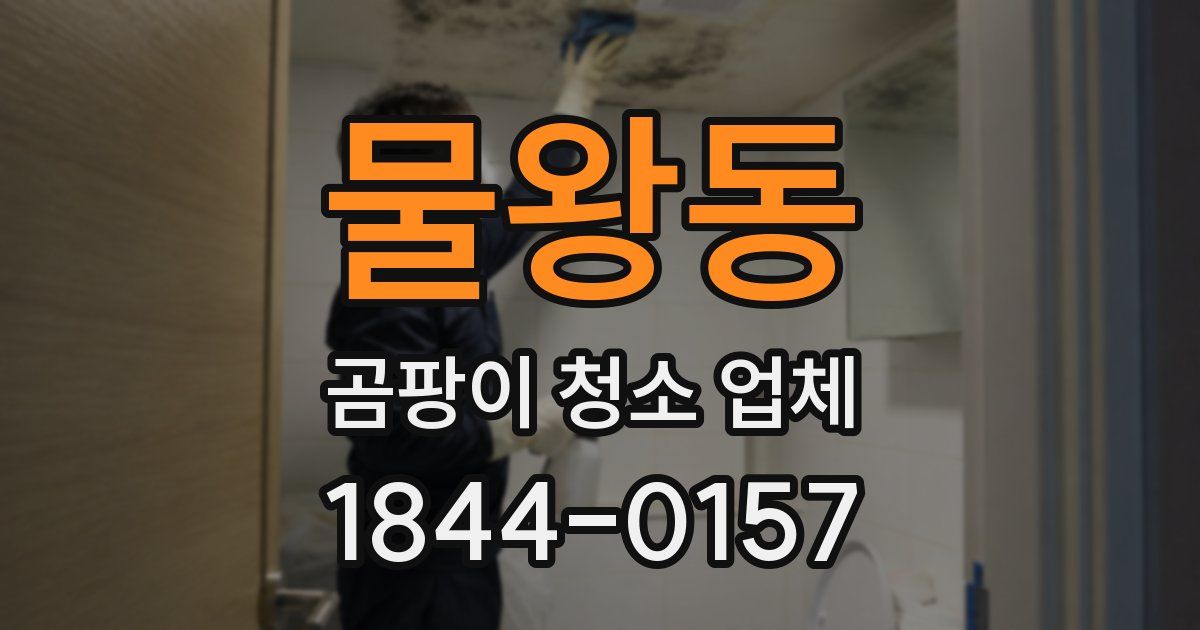 물왕동 곰팡이 청소 업체