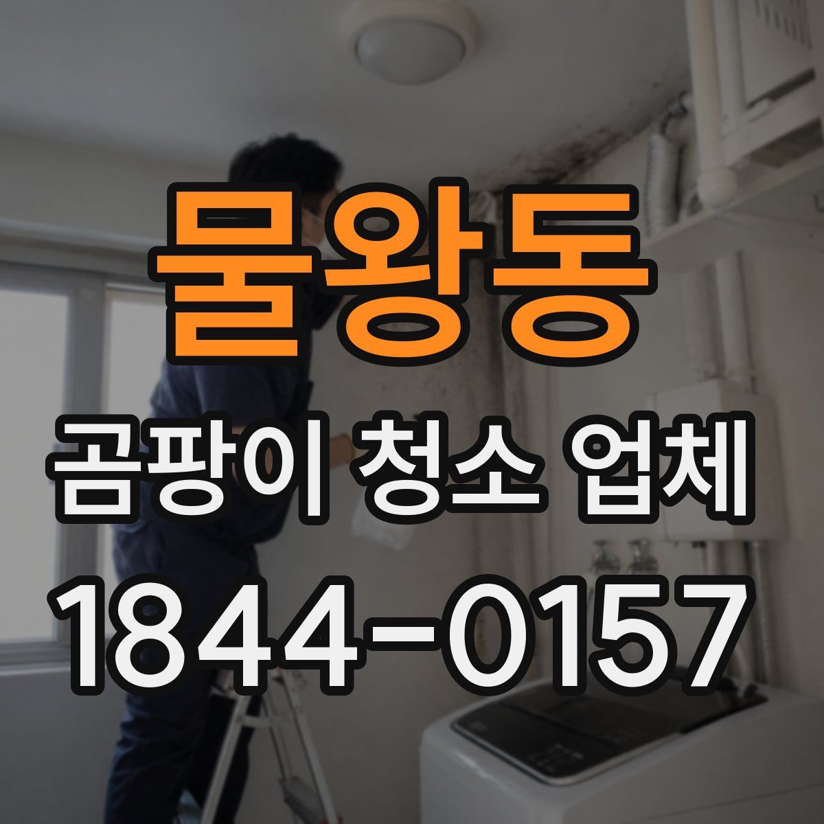 물왕동 곰팡이 청소 업체