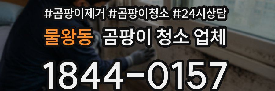 물왕동 곰팡이 청소 업체