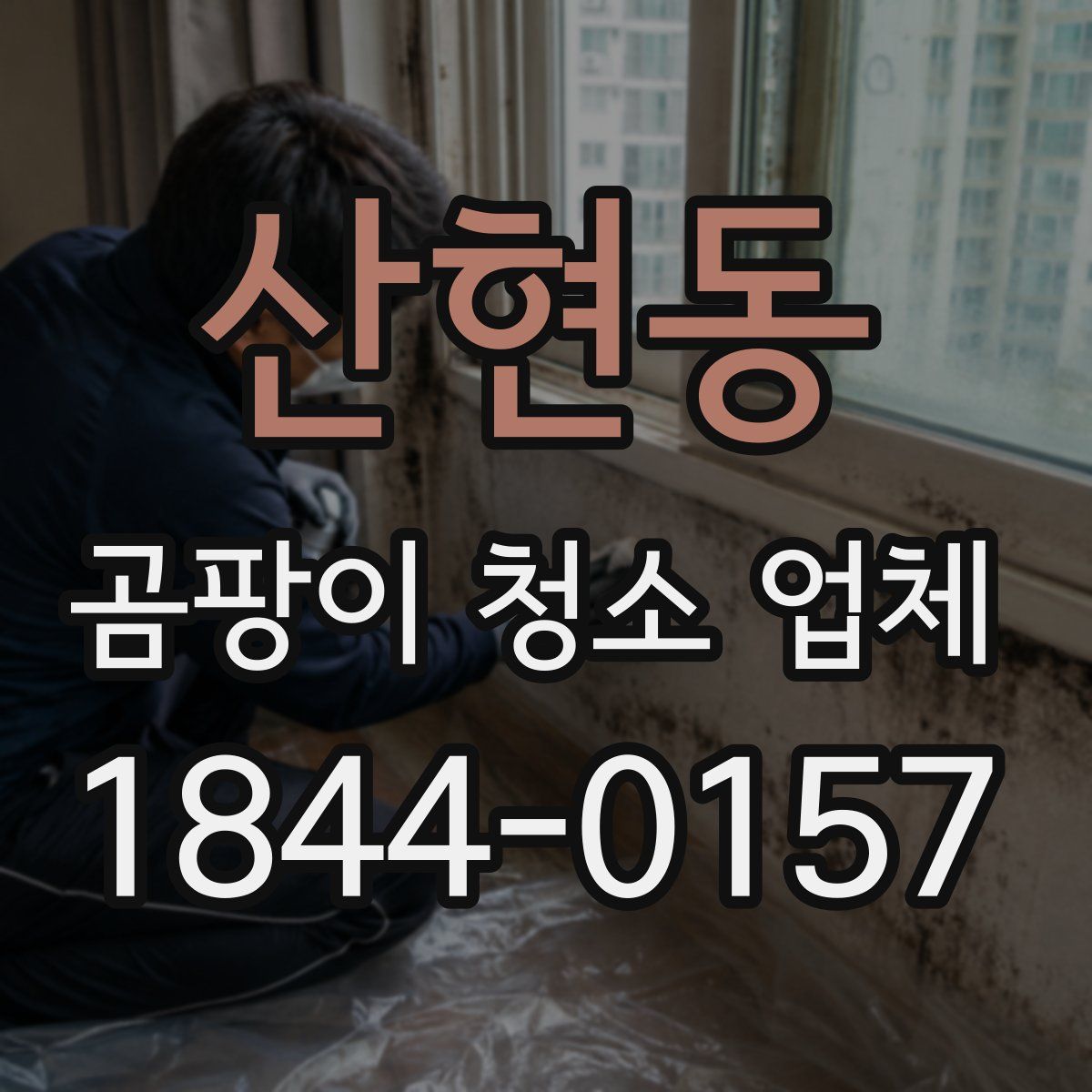 산현동 곰팡이 청소 업체