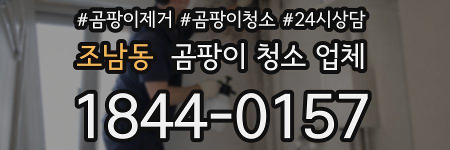 조남동 곰팡이 청소 업체