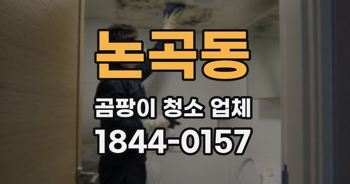 논곡동 곰팡이 청소 업체