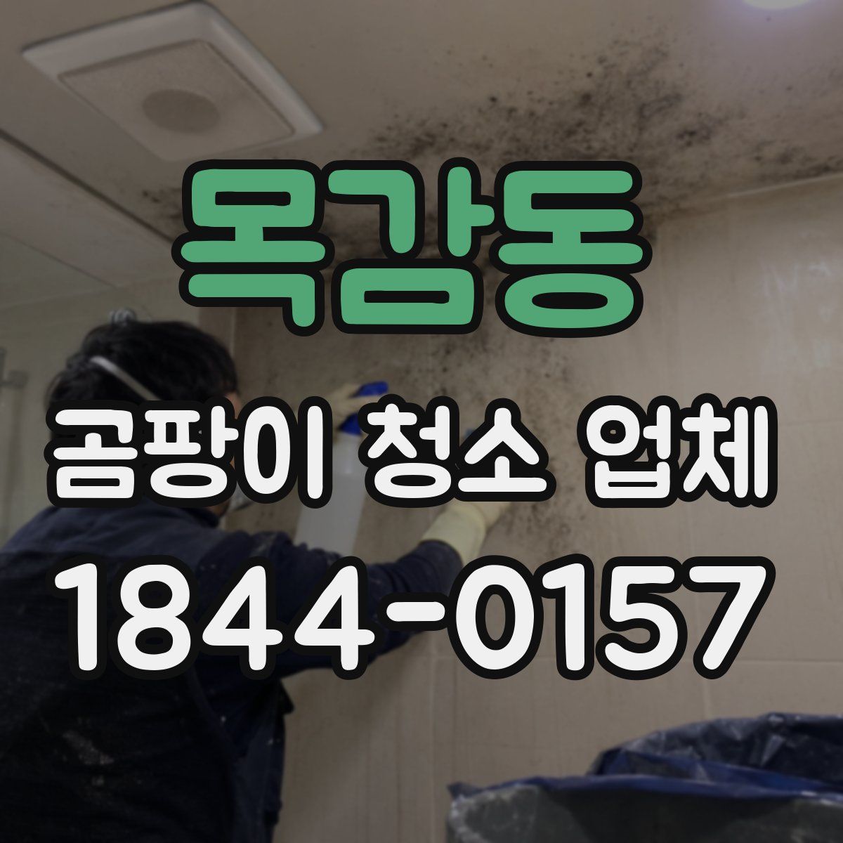 목감동 곰팡이 청소 업체