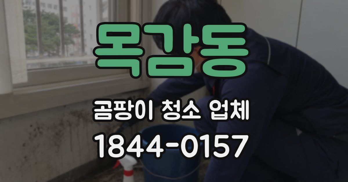 목감동 곰팡이 청소 업체