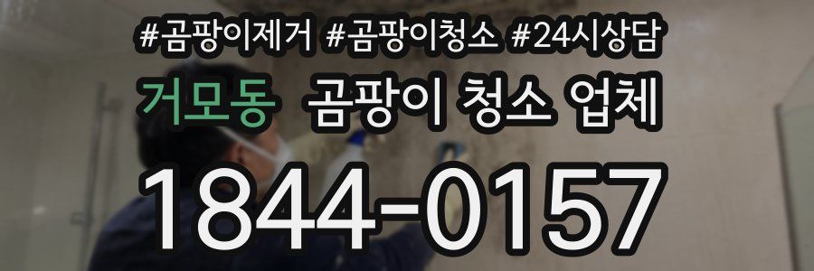 거모동 곰팡이 청소 업체