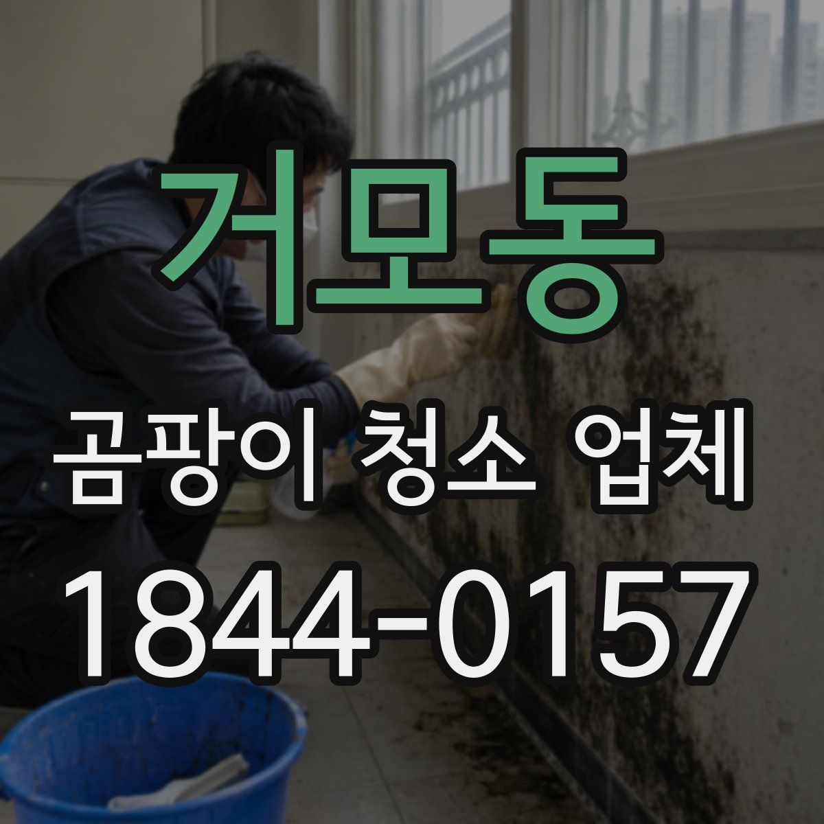 거모동 곰팡이 청소 업체