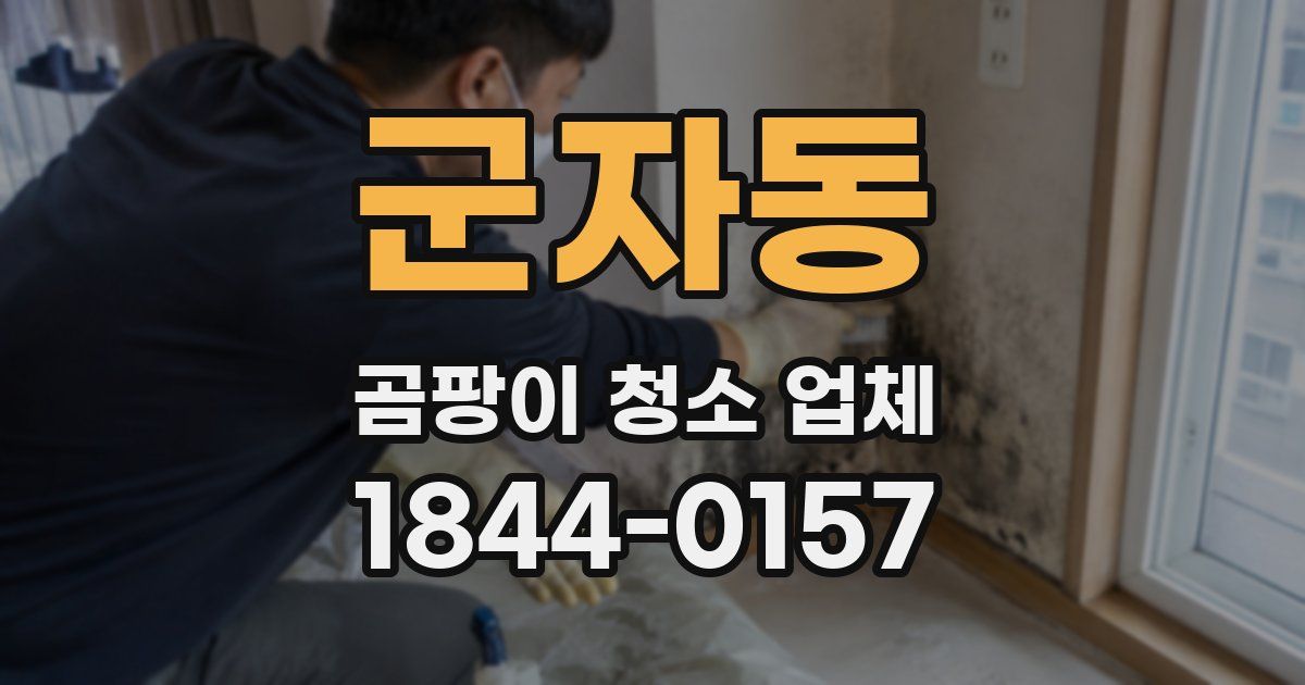 군자동 곰팡이 청소 업체
