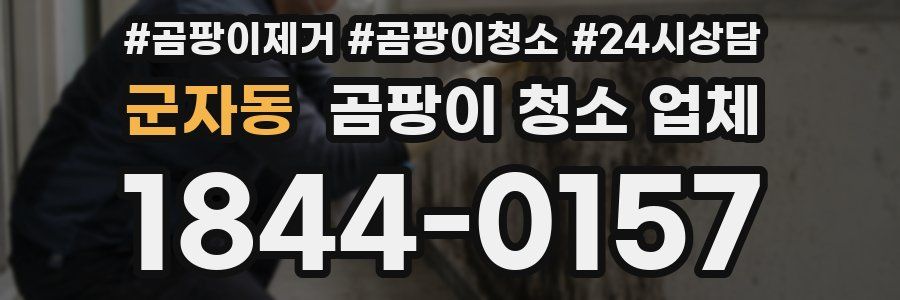 군자동 곰팡이 청소 업체
