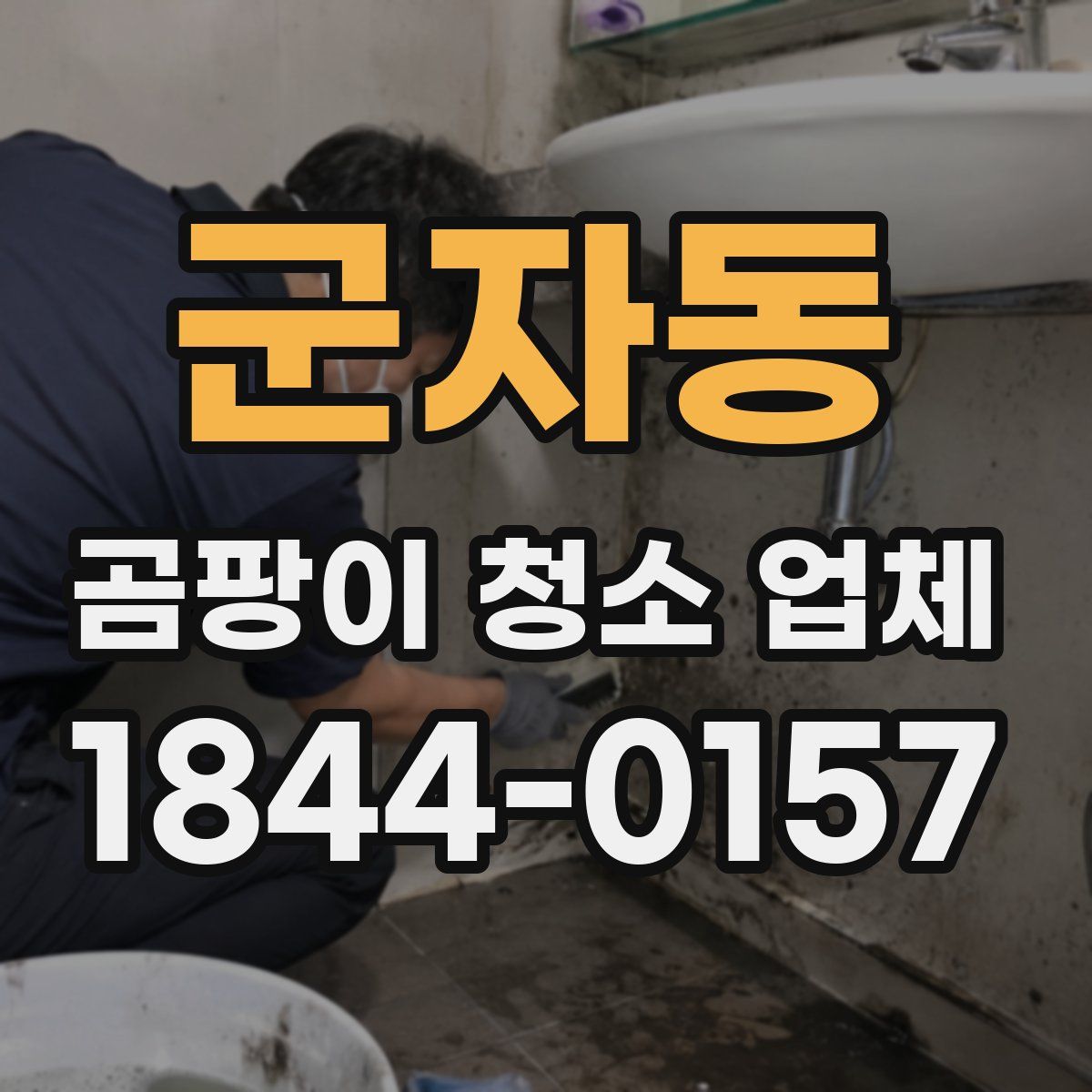 군자동 곰팡이 청소 업체