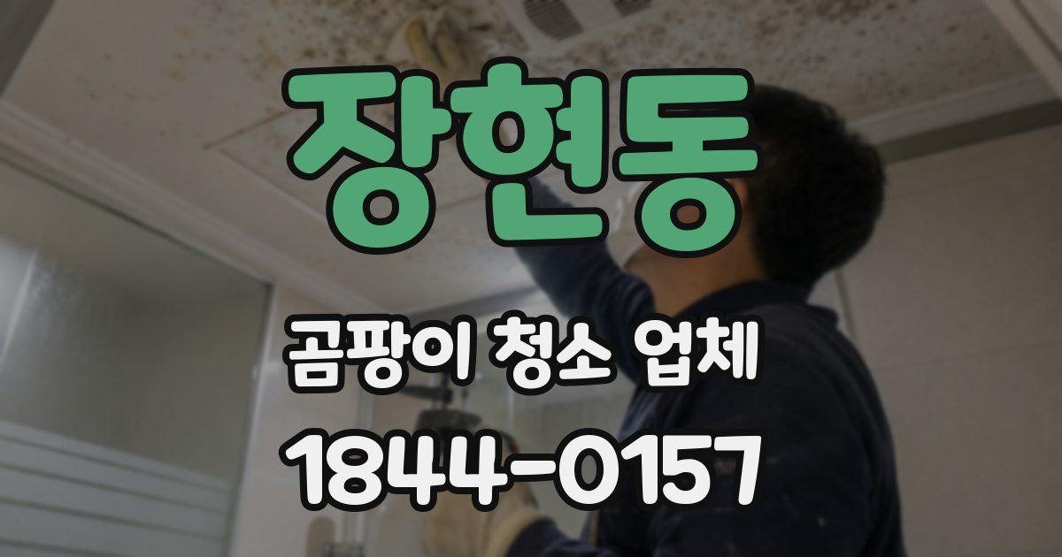 장현동 곰팡이 청소 업체