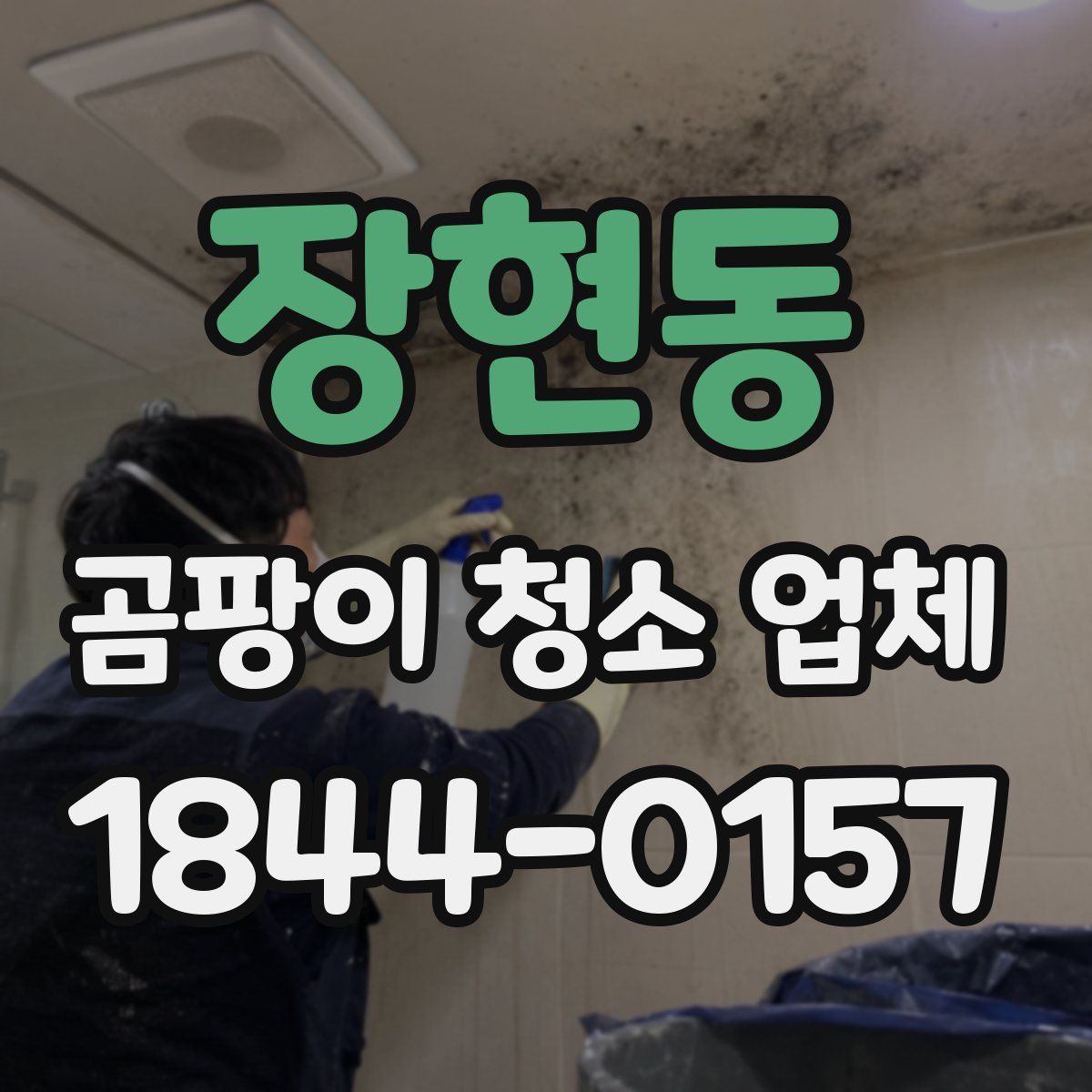 장현동 곰팡이 청소 업체