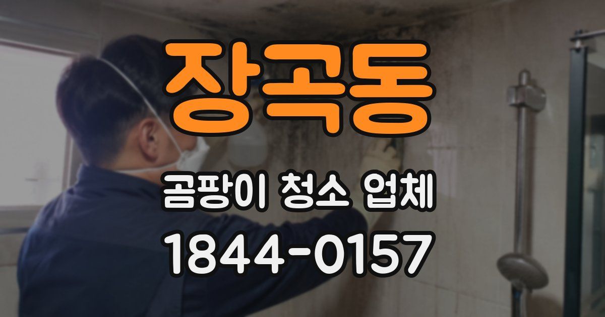 장곡동 곰팡이 청소 업체