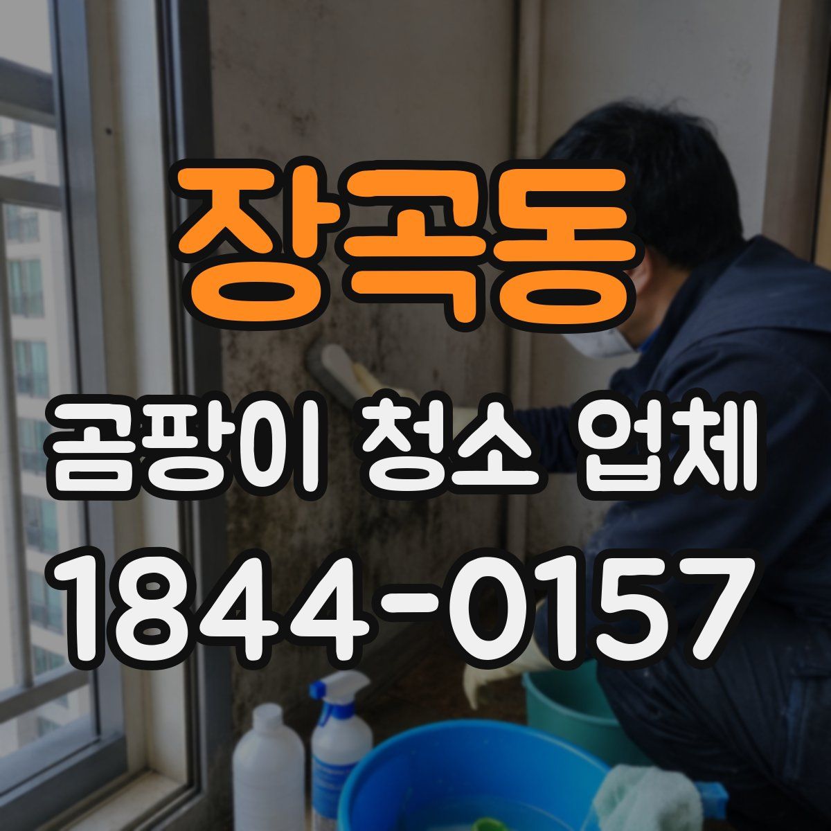 장곡동 곰팡이 청소 업체