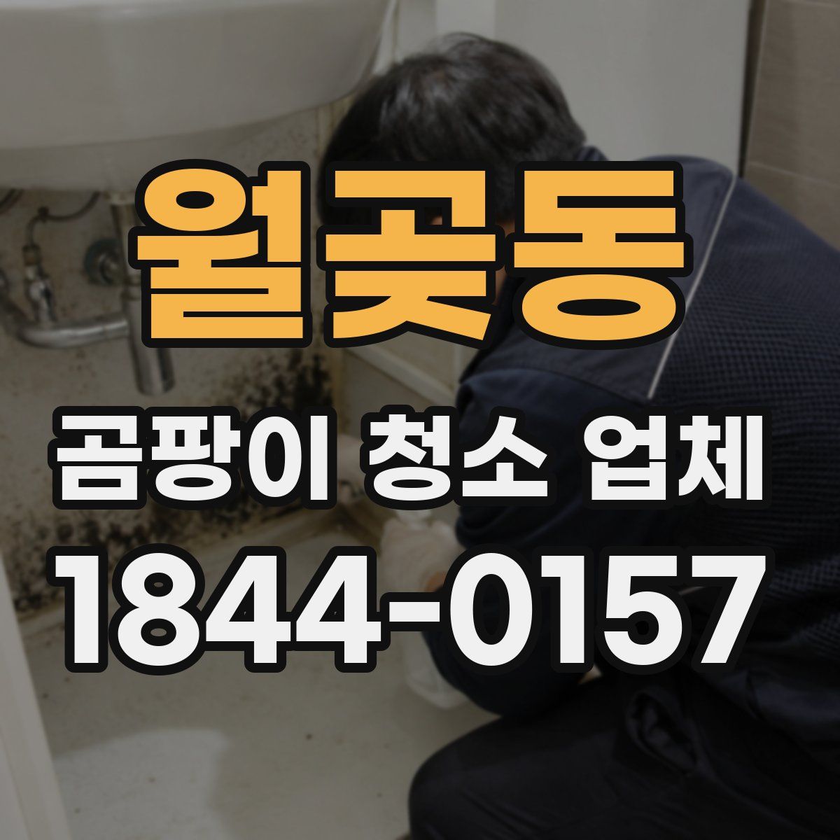 월곶동 곰팡이 청소 업체