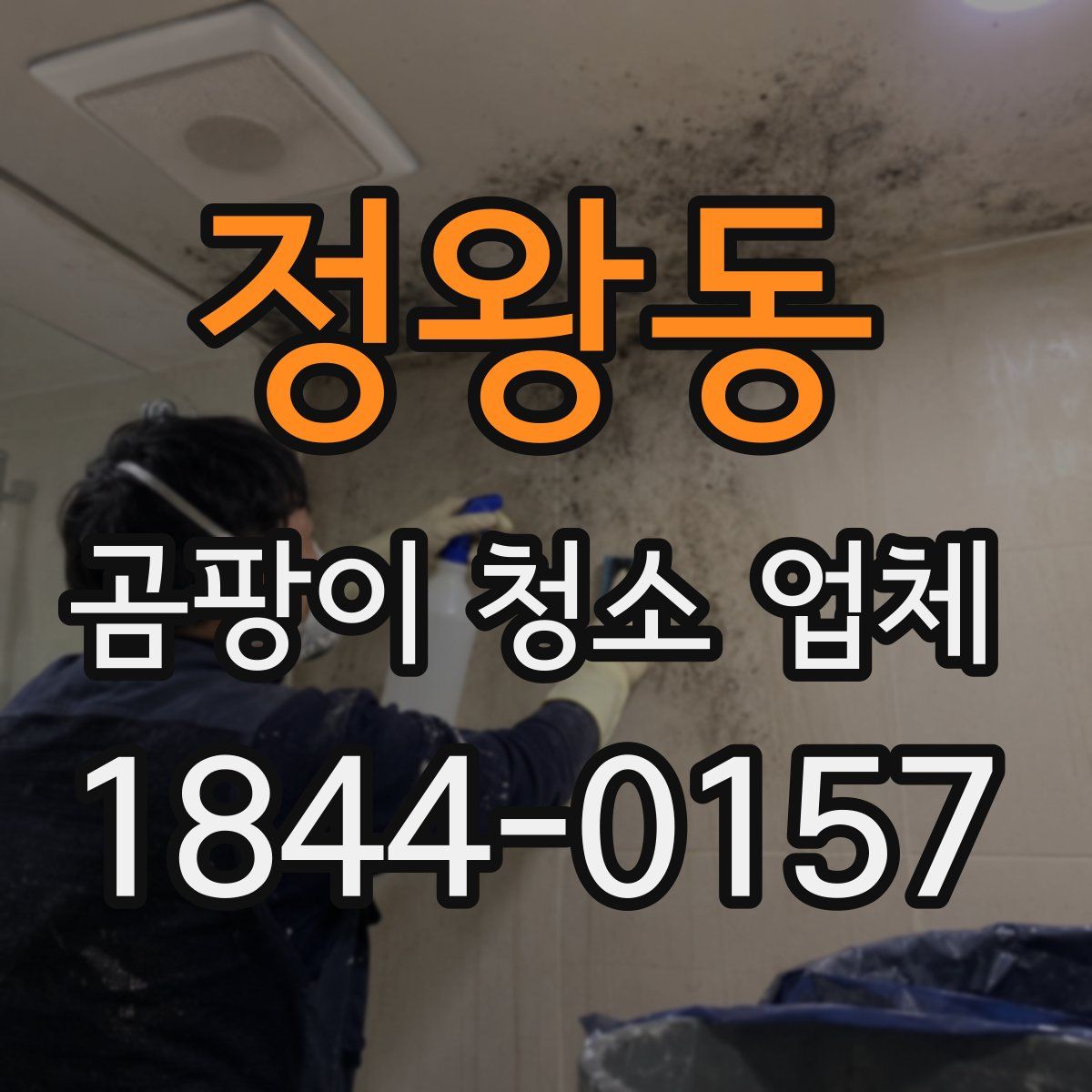 정왕동 곰팡이 청소 업체