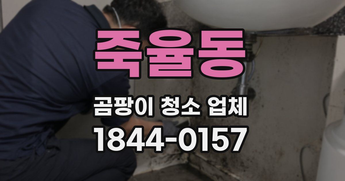 죽율동 곰팡이 청소 업체