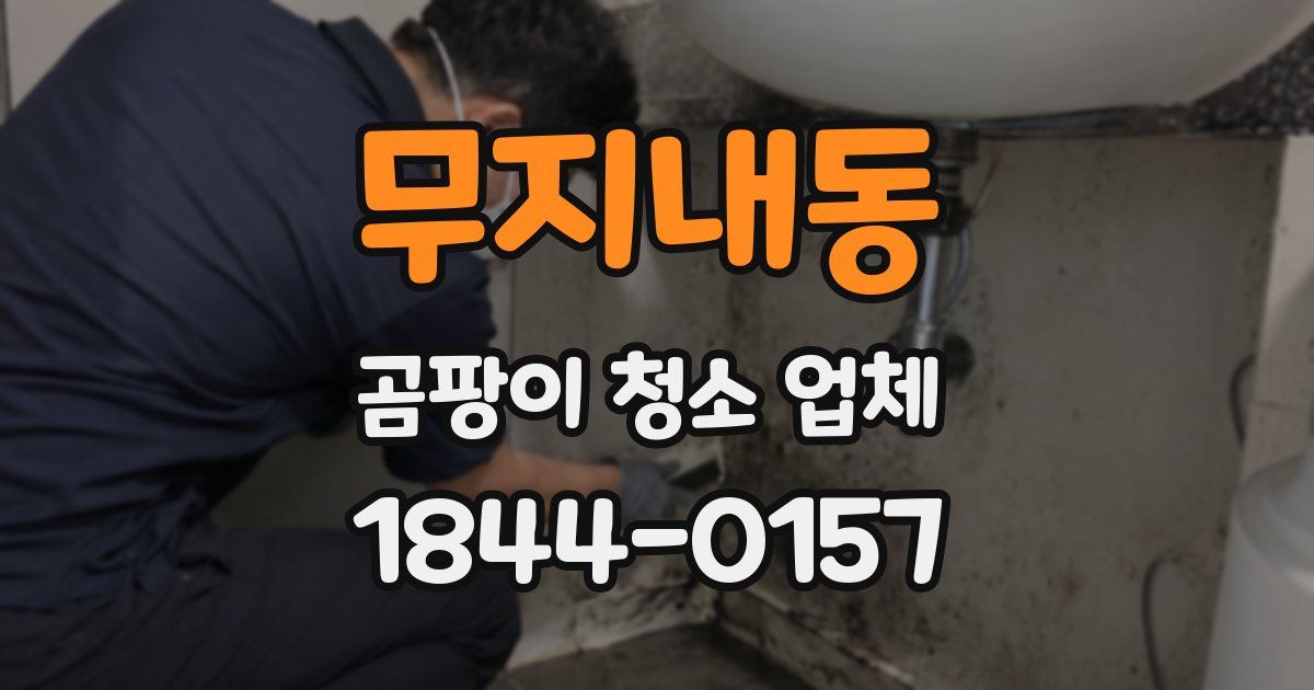 무지내동 곰팡이 청소 업체