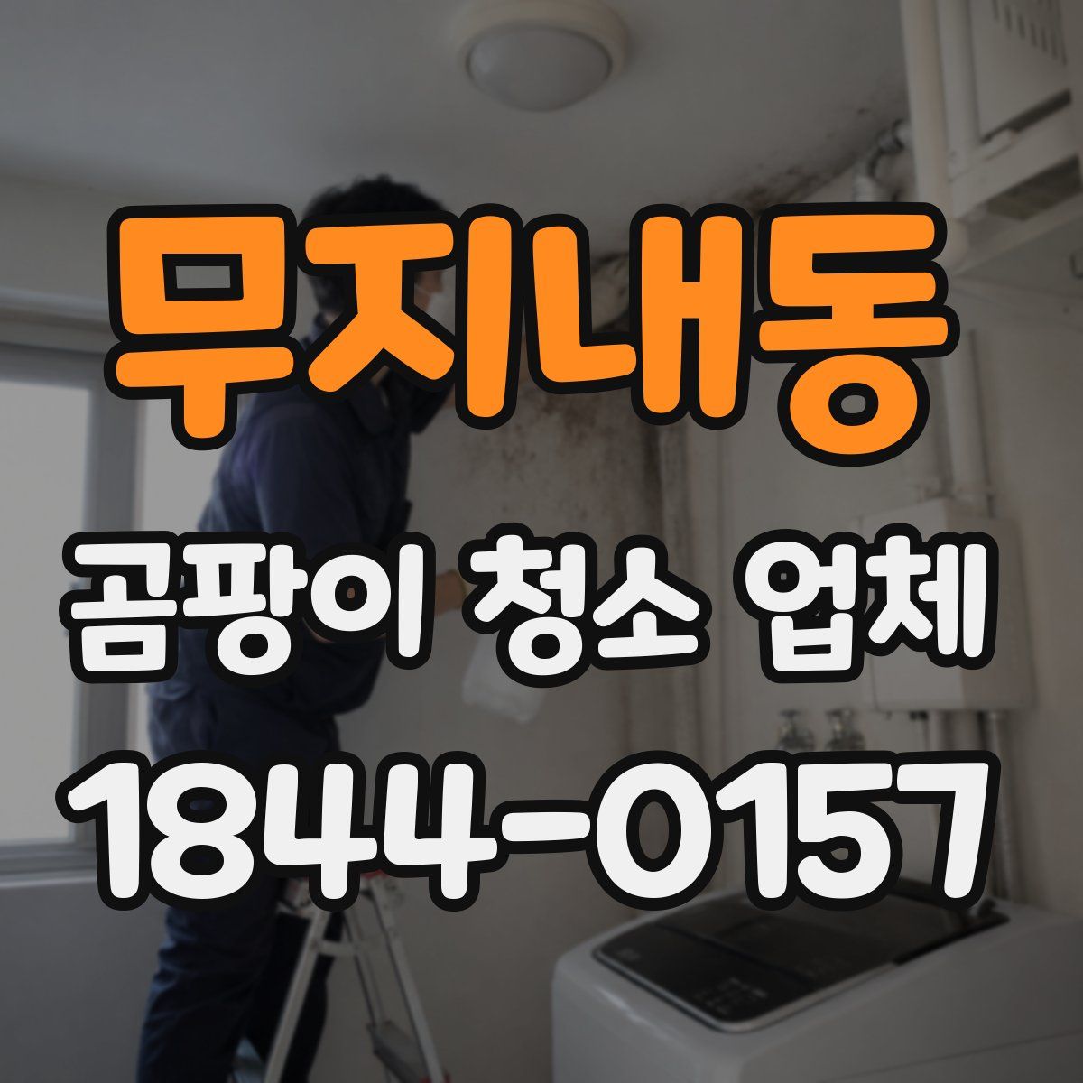 무지내동 곰팡이 청소 업체