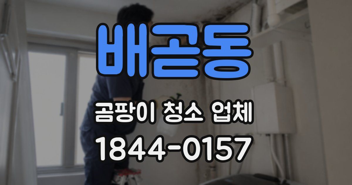 배곧동 곰팡이 청소 업체