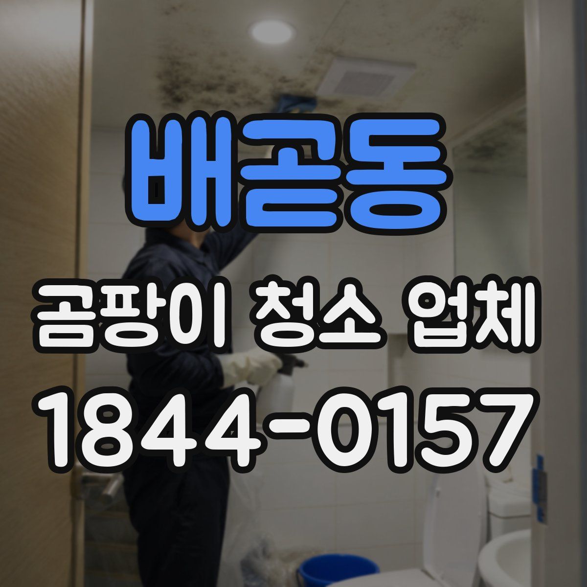 배곧동 곰팡이 청소 업체