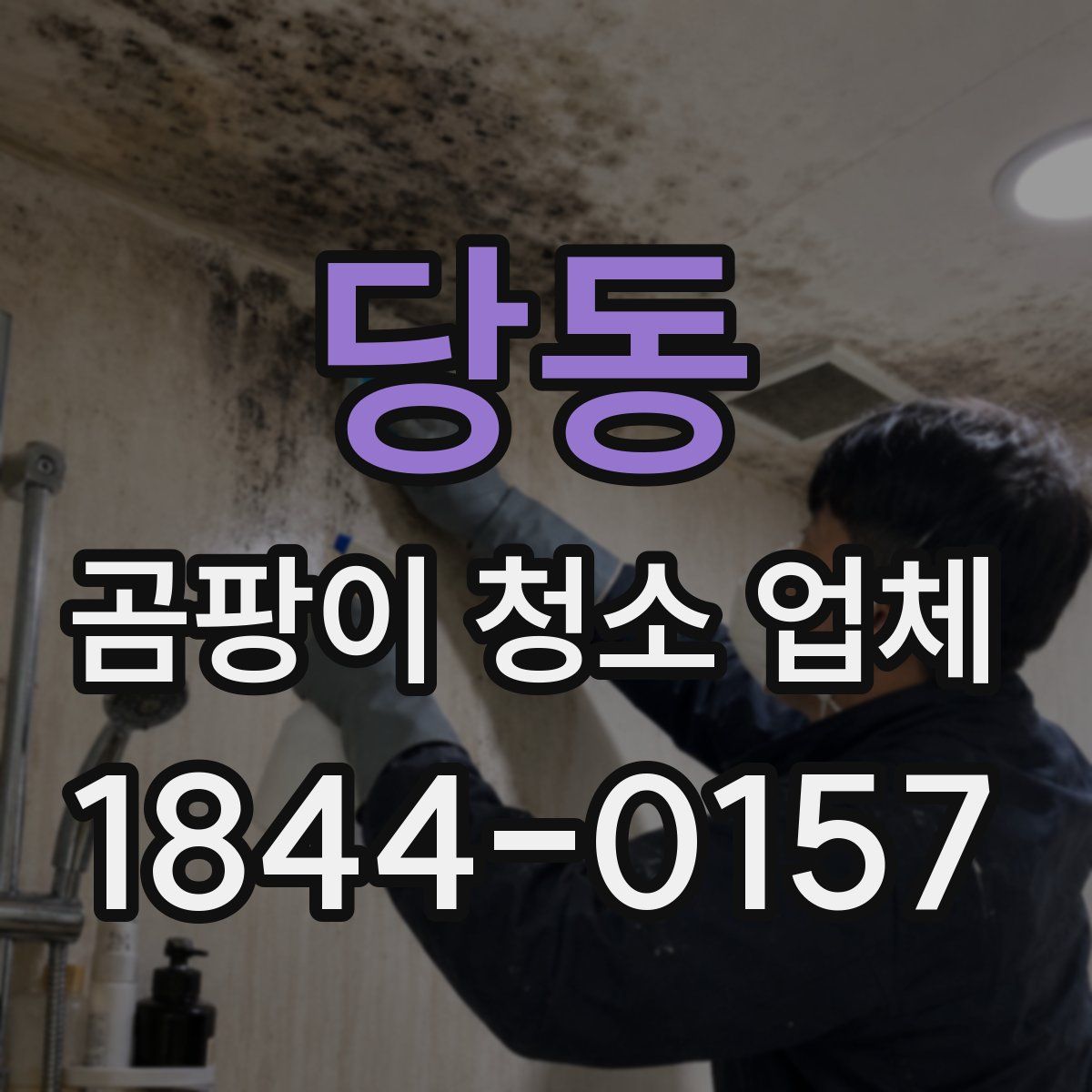 당동 곰팡이 청소 업체