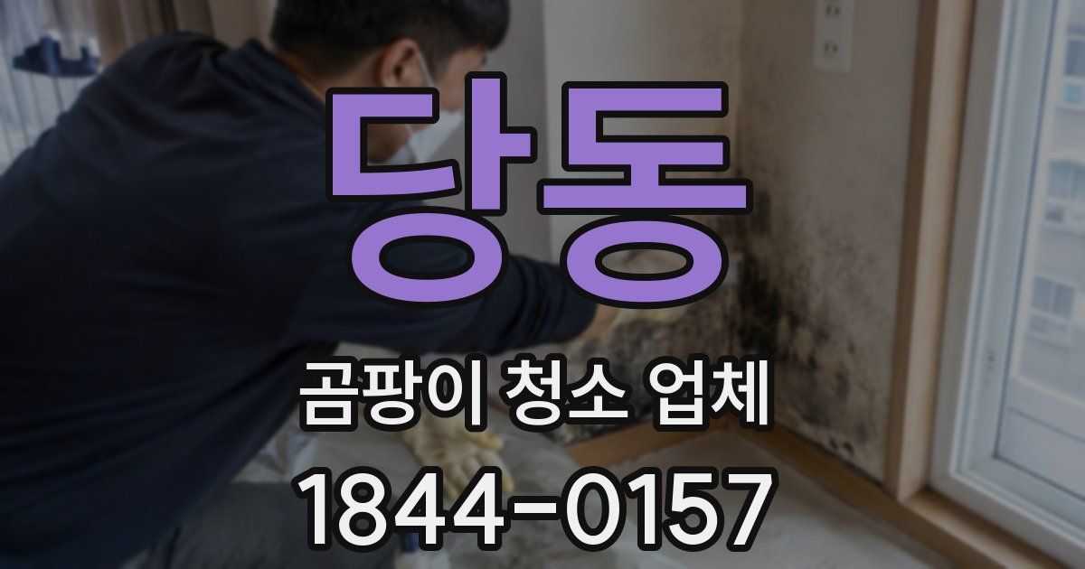 당동 곰팡이 청소 업체