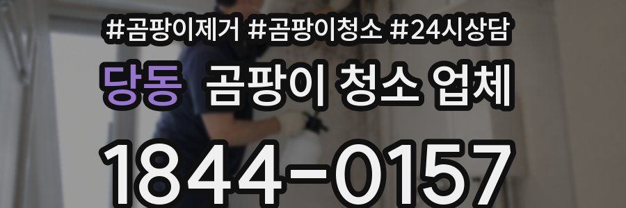 당동 곰팡이 청소 업체