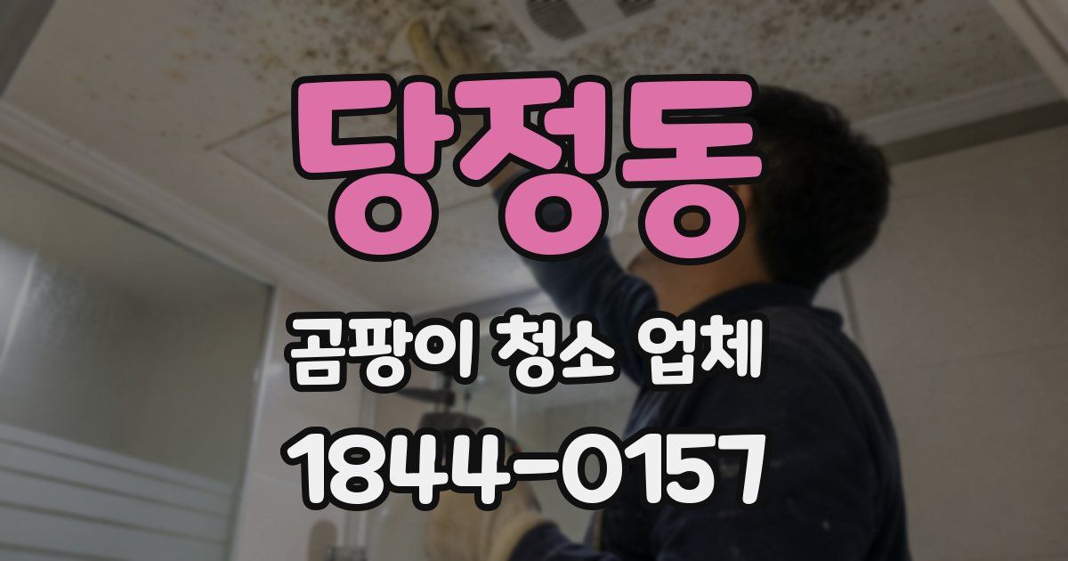 당정동 곰팡이 청소 업체