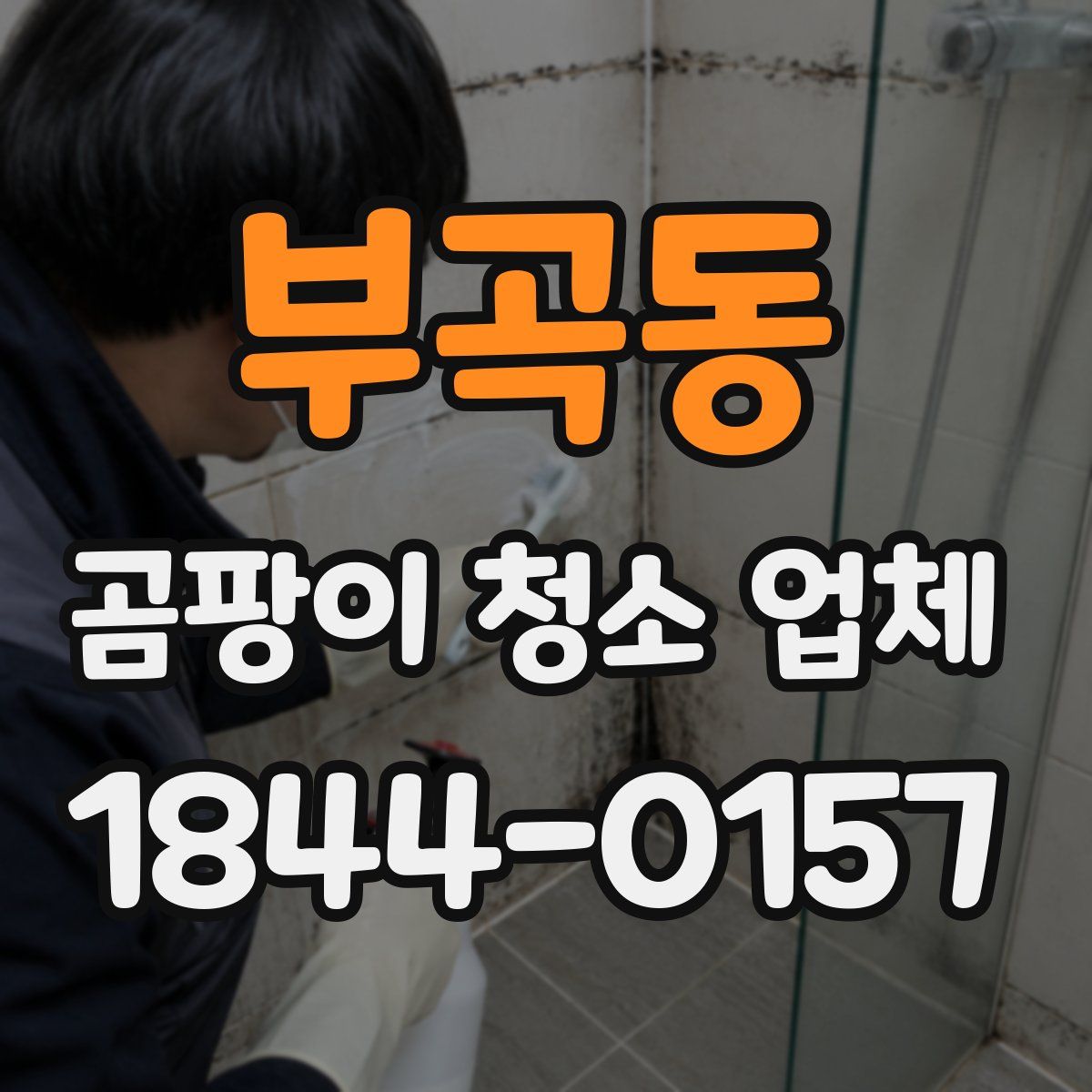 부곡동 곰팡이 청소 업체