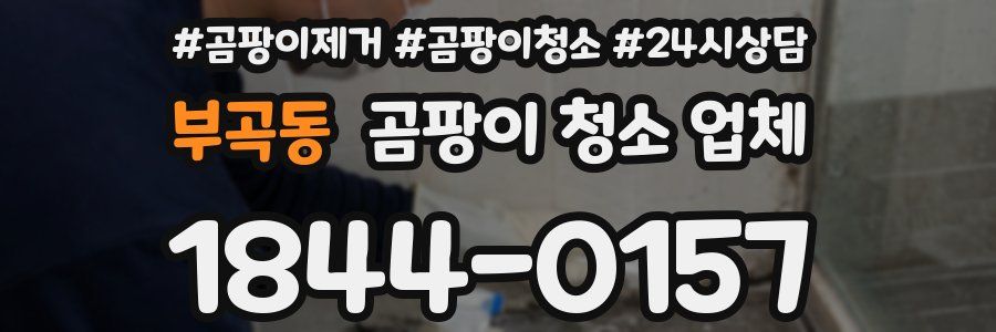 부곡동 곰팡이 청소 업체