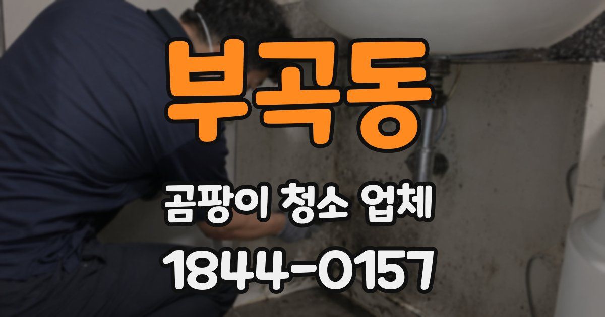 부곡동 곰팡이 청소 업체