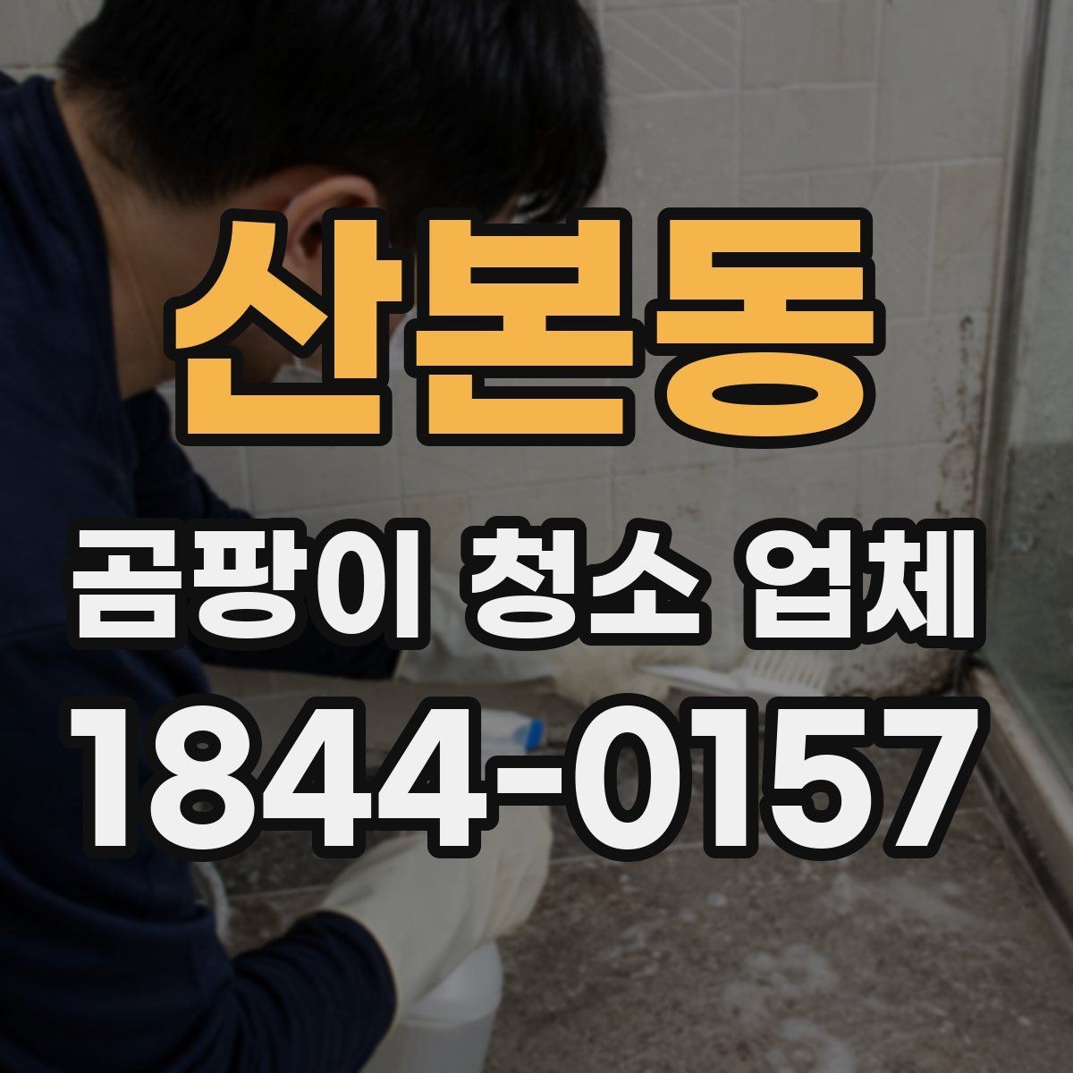산본동 곰팡이 청소 업체 반복 오염을 줄이기 위한 점검 항목