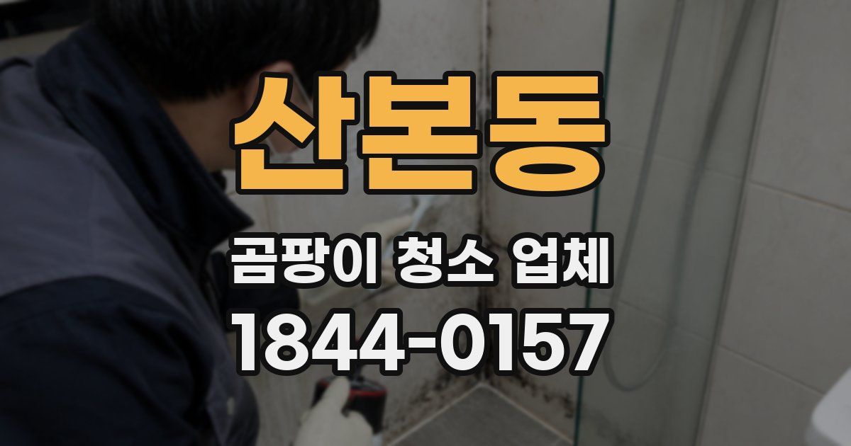 산본동 곰팡이 청소 업체