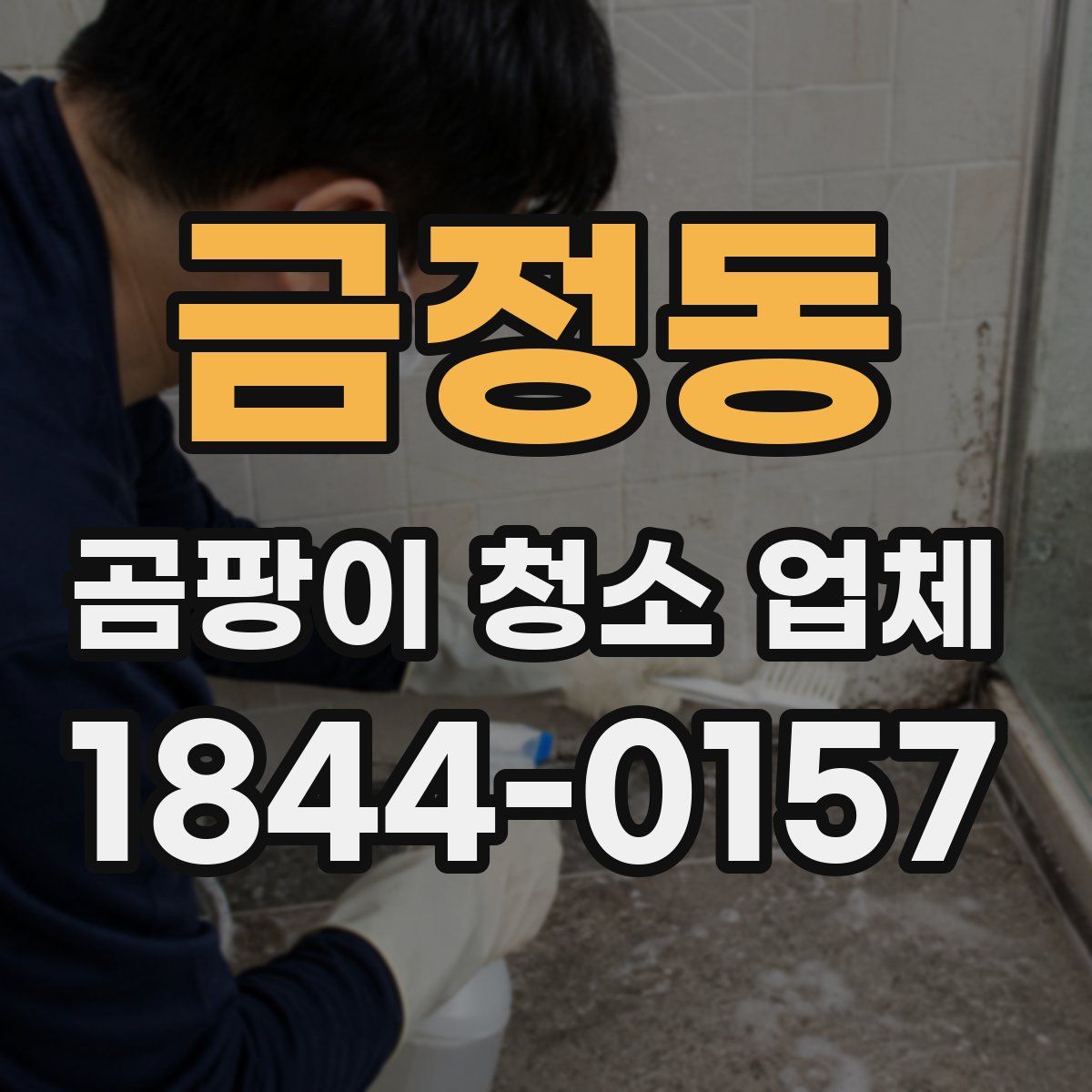 금정동 곰팡이 청소 업체