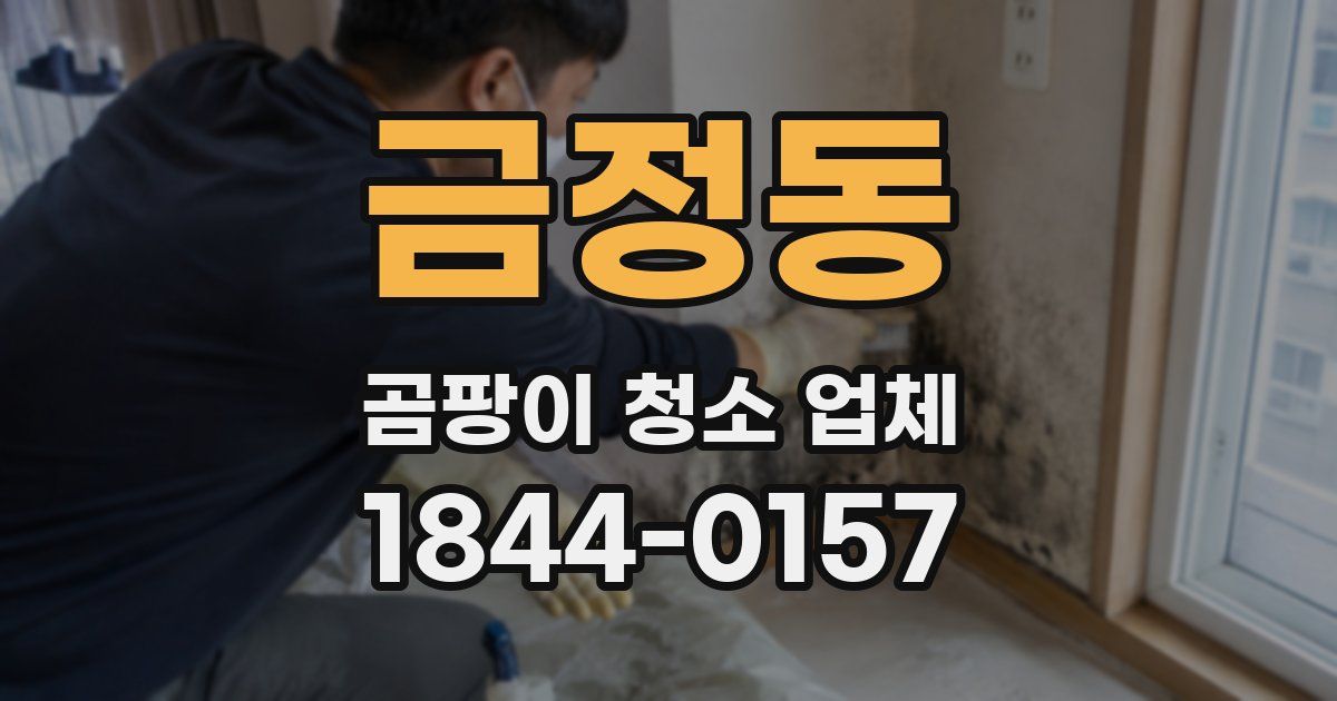 금정동 곰팡이 청소 업체