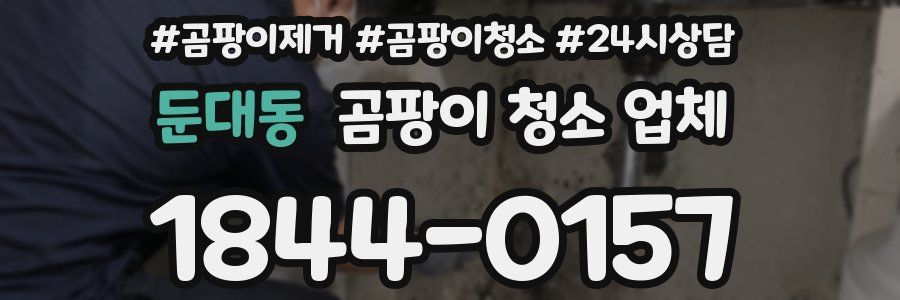 둔대동 곰팡이 청소 업체