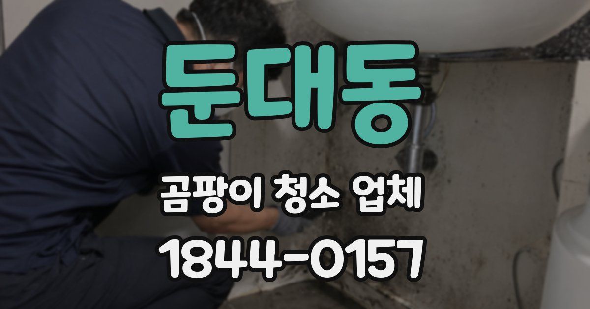 둔대동 곰팡이 청소 업체