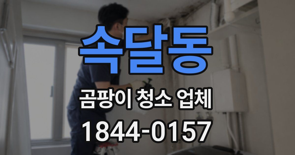 속달동 곰팡이 청소 업체