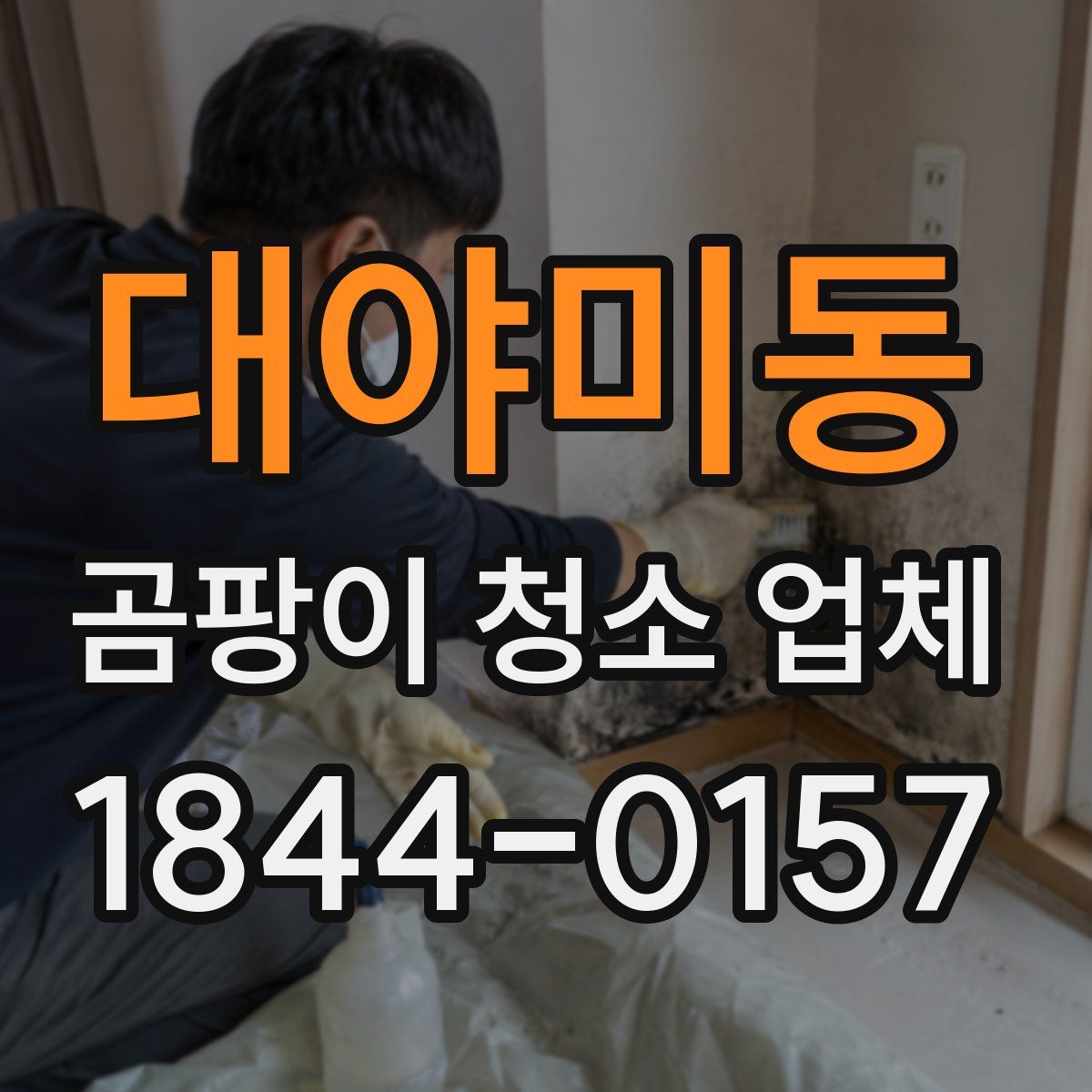 대야미동 곰팡이 청소 업체