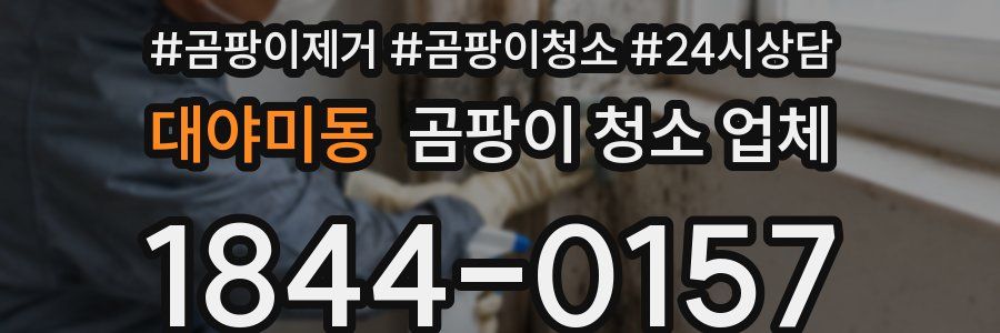 대야미동 곰팡이 청소 업체