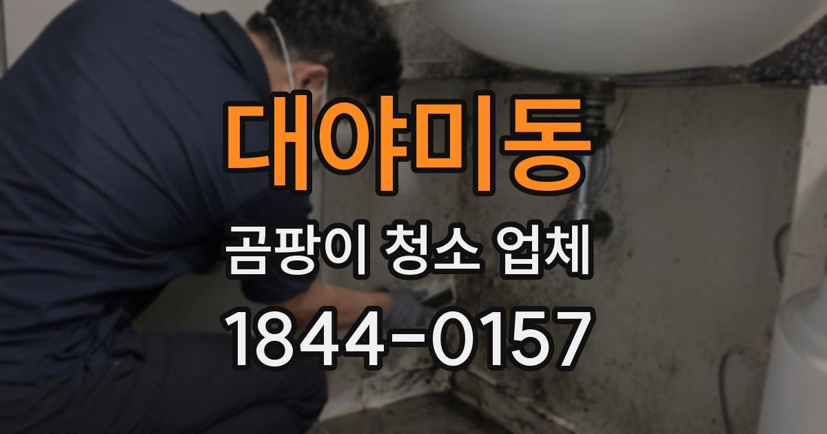 대야미동 곰팡이 청소 업체