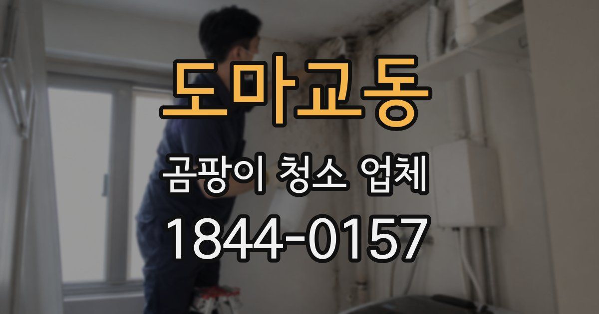 도마교동 곰팡이 청소 업체