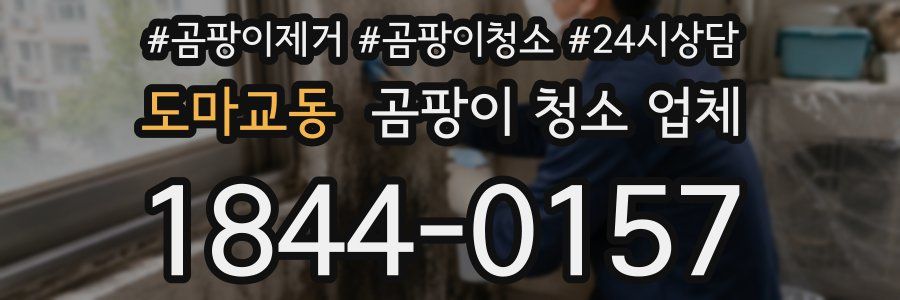 도마교동 곰팡이 청소 업체