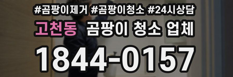 고천동 곰팡이 청소 업체